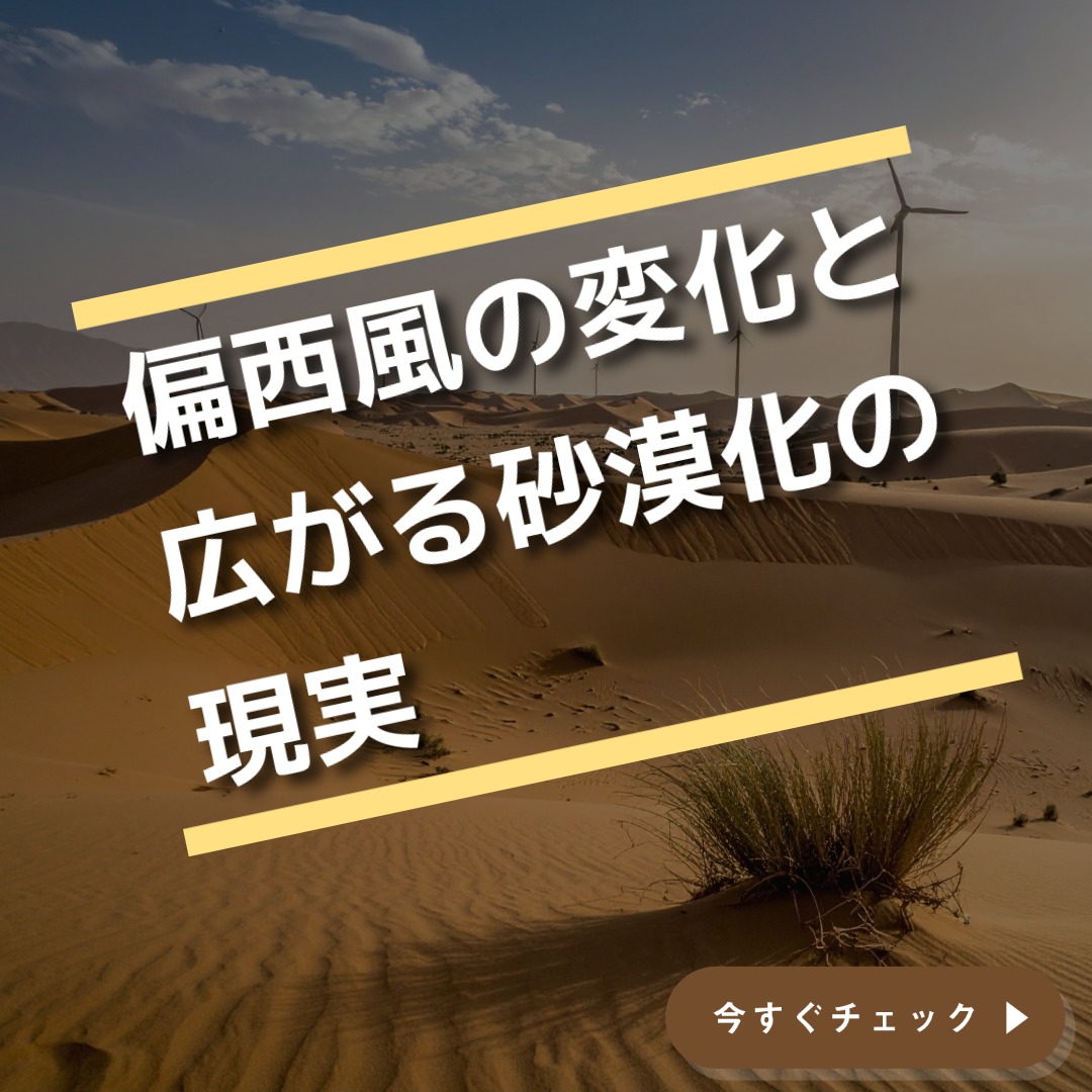 ほっかほっかコラム　令和6年5月号