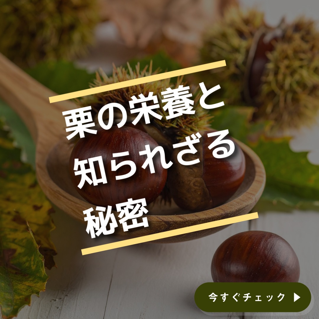 ほっかほっかコラム　令和6年10月号